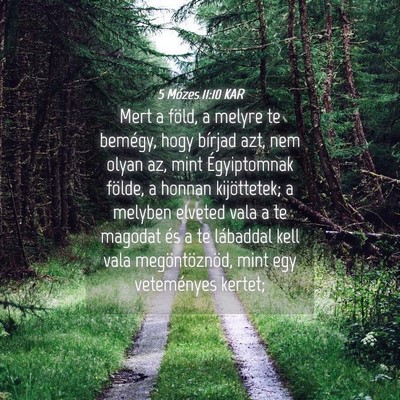 Picture 04 - 5 Mózes 11:10 KAR - Mert a föld, a melyre te bemégy, hogy bírjad - Bible Verse Picture