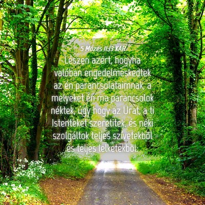 Picture 04 - 5 Mózes 11:13 KAR - Lészen azért, hogyha valóban engedelmeskedtek - Bible Verse Picture