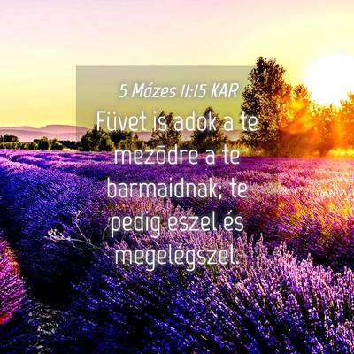 Picture 04 - 5 Mózes 11:15 KAR - Füvet is adok a te mezõdre a te barmaidnak; te - Bible Verse Picture