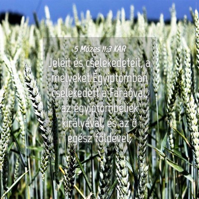 Picture 04 - 5 Mózes 11:3 KAR - Jeleit és cselekedeteit, a melyeket Égyiptomban - Bible Verse Picture
