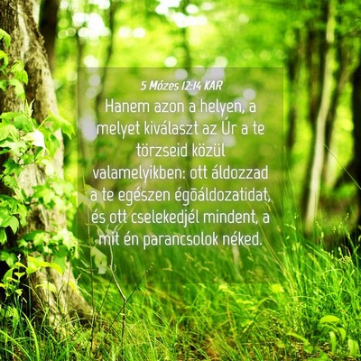 Picture 04 - 5 Mózes 12:14 KAR - Hanem azon a helyen, a melyet kiválaszt az Úr a - Bible Verse Picture