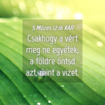 Picture 04 - 5 Mózes 12:16 KAR - Csakhogy a vért meg ne egyétek; a földre - Bible Verse Picture