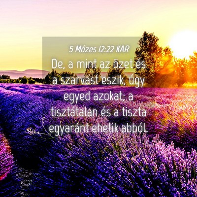 Picture 04 - 5 Mózes 12:22 KAR - De, a mint az õzet és a szarvast eszik, úgy - Bible Verse Picture
