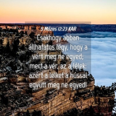 Picture 04 - 5 Mózes 12:23 KAR - Csakhogy abban állhatatos légy, hogy a vért - Bible Verse Picture