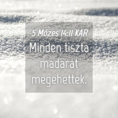 Picture 04 - 5 Mózes 14:11 KAR - Minden tiszta madarat - Bible Verse Picture