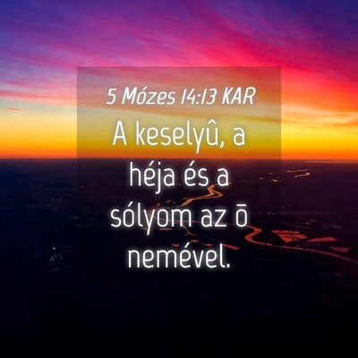 Picture 04 - 5 Mózes 14:13 KAR - A keselyû, a héja és a sólyom az õ - Bible Verse Picture