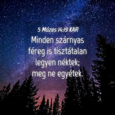 Picture 04 - 5 Mózes 14:19 KAR - Minden szárnyas féreg is tisztátalan legyen - Bible Verse Picture