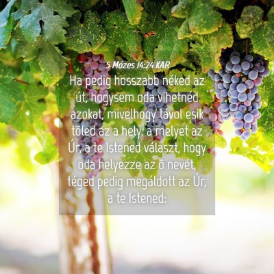 Picture 04 - 5 Mózes 14:24 KAR - Ha pedig hosszabb néked az út, hogysem oda - Bible Verse Picture