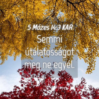 Picture 04 - 5 Mózes 14:3 KAR - Semmi útálatosságot meg ne - Bible Verse Picture