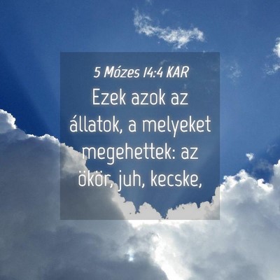 Picture 04 - 5 Mózes 14:4 KAR - Ezek azok az állatok, a melyeket megehettek: az - Bible Verse Picture