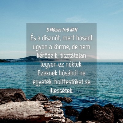 Picture 04 - 5 Mózes 14:8 KAR - És a disznót, mert hasadt ugyan a körme, de - Bible Verse Picture