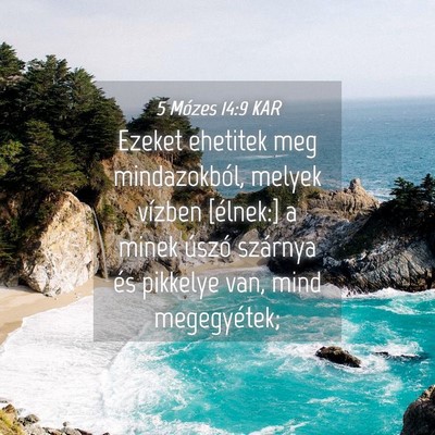 Picture 04 - 5 Mózes 14:9 KAR - Ezeket ehetitek meg mindazokból, melyek vízben - Bible Verse Picture