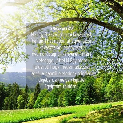Picture 04 - 5 Mózes 16:3 KAR - Ne egyél azzal semmi kovászost, [hanem] hét - Bible Verse Picture