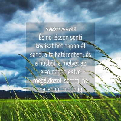 Picture 04 - 5 Mózes 16:4 KAR - És ne lásson senki kovászt hét napon át - Bible Verse Picture