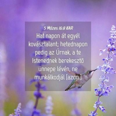Picture 04 - 5 Mózes 16:8 KAR - Hat napon át egyél kovásztalant; hetednapon - Bible Verse Picture