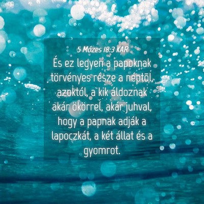 Picture 04 - 5 Mózes 18:3 KAR - És ez legyen a papoknak törvényes része a - Bible Verse Picture
