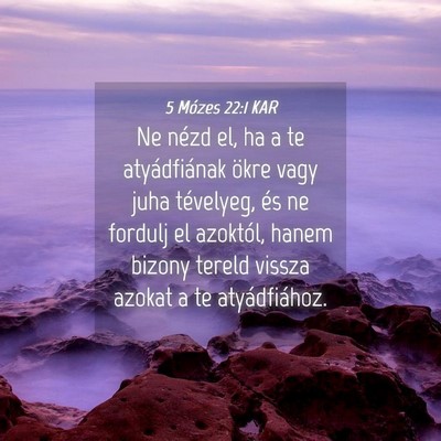 Picture 04 - 5 Mózes 22:1 KAR - Ne nézd el, ha a te atyádfiának ökre vagy - Bible Verse Picture