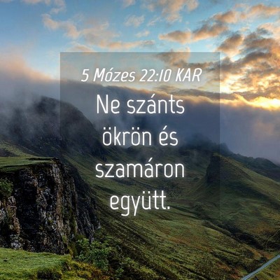 Picture 04 - 5 Mózes 22:10 KAR - Ne szánts ökrön és szamáron - Bible Verse Picture