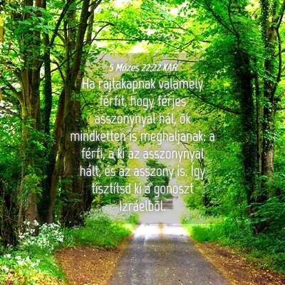 Picture 04 - 5 Mózes 22:22 KAR - Ha rajtakapnak valamely férfit, hogy férjes - Bible Verse Picture