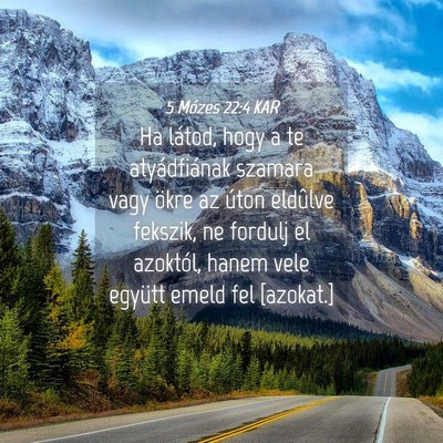 Picture 04 - 5 Mózes 22:4 KAR - Ha látod, hogy a te atyádfiának szamara vagy - Bible Verse Picture