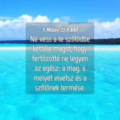 Picture 04 - 5 Mózes 22:9 KAR - Ne vess a te szõlõdbe kétféle magot, hogy - Bible Verse Picture