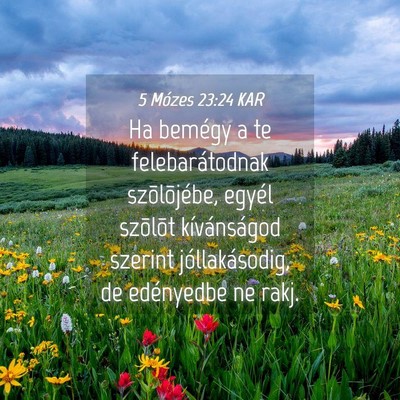 Picture 04 - 5 Mózes 23:24 KAR - Ha bemégy a te felebarátodnak szõlõjébe, - Bible Verse Picture