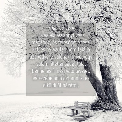 Picture 04 - 5 Mózes 24:1 KAR - Ha valaki asszonyt vesz magához, és - Bible Verse Picture