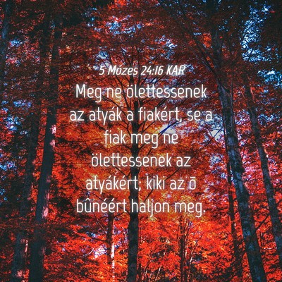 Picture 04 - 5 Mózes 24:16 KAR - Meg ne ölettessenek az atyák a fiakért, se a - Bible Verse Picture