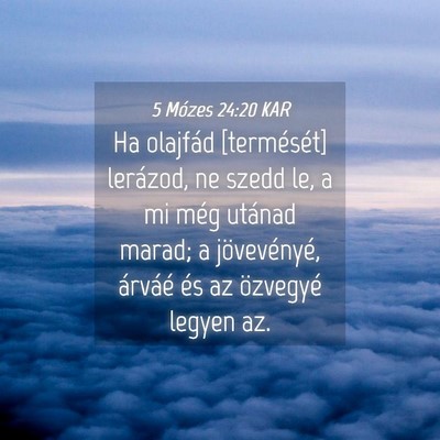 Picture 04 - 5 Mózes 24:20 KAR - Ha olajfád [termését] lerázod, ne szedd le, a - Bible Verse Picture