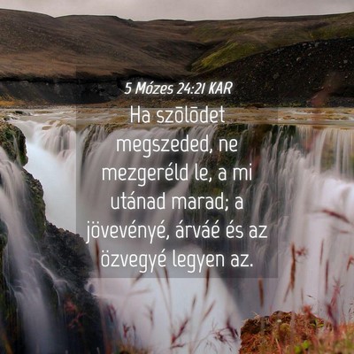 Picture 04 - 5 Mózes 24:21 KAR - Ha szõlõdet megszeded, ne mezgeréld le, a mi - Bible Verse Picture