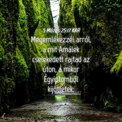 Picture 04 - 5 Mózes 25:17 KAR - Megemlékezzél arról, a mit Amálek cselekedett - Bible Verse Picture