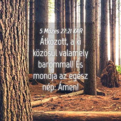 Picture 04 - 5 Mózes 27:21 KAR - Átkozott, a ki közösül valamely barommal! És - Bible Verse Picture