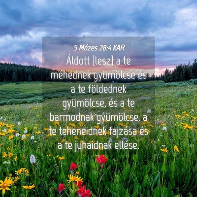 Picture 04 - 5 Mózes 28:4 KAR - Áldott [lesz] a te méhednek gyümölcse és a - Bible Verse Picture