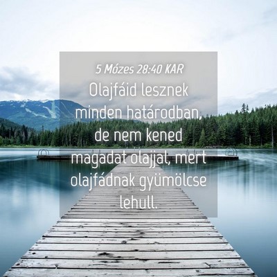 Picture 04 - 5 Mózes 28:40 KAR - Olajfáid lesznek minden határodban, de nem - Bible Verse Picture