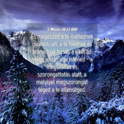 Picture 04 - 5 Mózes 28:53 KAR - És megeszed a te méhednek gyümölcsét, a te - Bible Verse Picture
