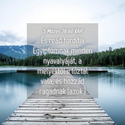 Picture 04 - 5 Mózes 28:60 KAR - És reád fordítja Égyiptomnak minden - Bible Verse Picture