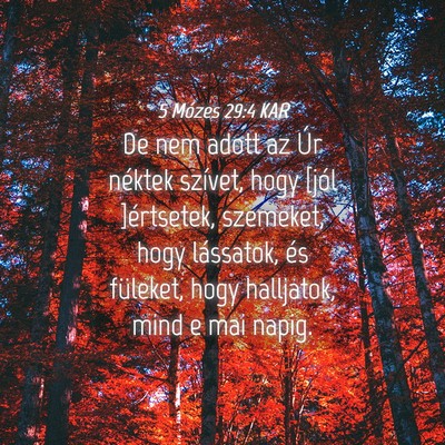 Picture 04 - 5 Mózes 29:4 KAR - De nem adott az Úr néktek szívet, hogy [jól - Bible Verse Picture