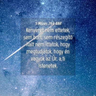 Picture 04 - 5 Mózes 29:6 KAR - Kenyeret nem ettetek, sem bort, sem részegítõ - Bible Verse Picture