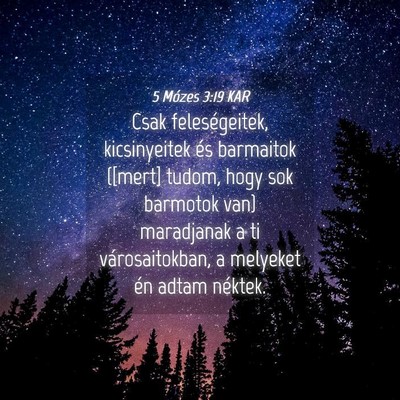 Picture 04 - 5 Mózes 3:19 KAR - Csak feleségeitek, kicsinyeitek és barmaitok - Bible Verse Picture