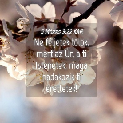 Picture 04 - 5 Mózes 3:22 KAR - Ne féljetek tõlök, mert az Úr, a ti - Bible Verse Picture