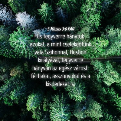 Picture 04 - 5 Mózes 3:6 KAR - És fegyverre hánytuk azokat, a mint - Bible Verse Picture