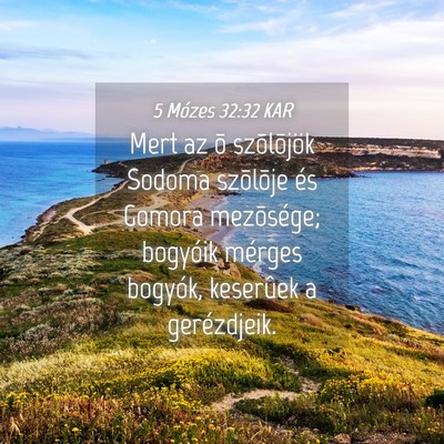Picture 04 - 5 Mózes 32:32 KAR - Mert az õ szõlõjök Sodoma szõlõje és - Bible Verse Picture