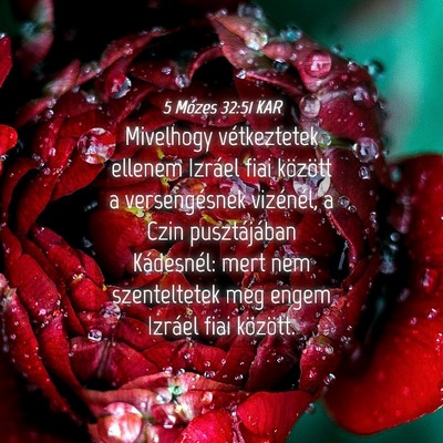 Picture 04 - 5 Mózes 32:51 KAR - Mivelhogy vétkeztetek ellenem Izráel fiai - Bible Verse Picture