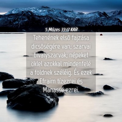 Picture 04 - 5 Mózes 33:17 KAR - Tehenének elsõ fajzása dicsõségére van; - Bible Verse Picture
