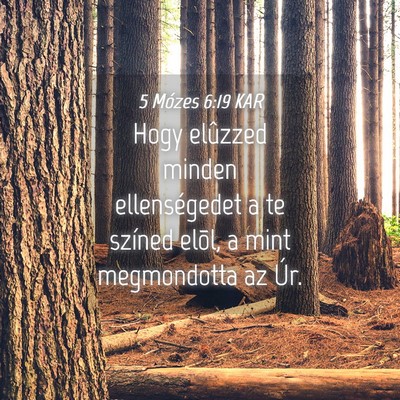 Picture 04 - 5 Mózes 6:19 KAR - Hogy elûzzed minden ellenségedet a te színed - Bible Verse Picture