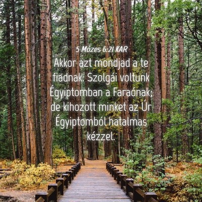 Picture 04 - 5 Mózes 6:21 KAR - Akkor azt mondjad a te fiadnak: Szolgái voltunk - Bible Verse Picture