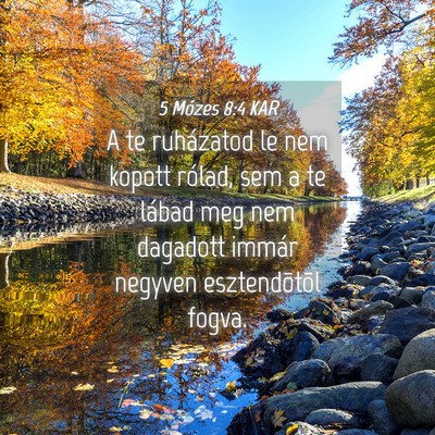 Picture 04 - 5 Mózes 8:4 KAR - A te ruházatod le nem kopott rólad, sem a te - Bible Verse Picture