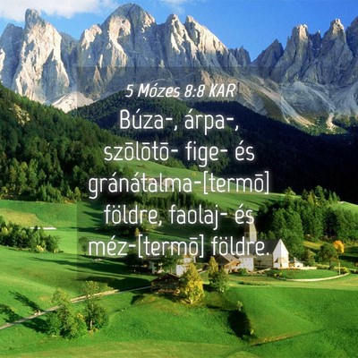 Picture 04 - 5 Mózes 8:8 KAR - Búza-, árpa-, szõlõtõ- fige- és - Bible Verse Picture