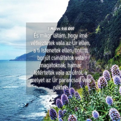 Picture 04 - 5 Mózes 9:16 KAR - És mikor látám, hogy ímé vétkeztetek vala - Bible Verse Picture