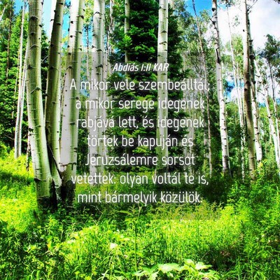 Picture 04 - Abdiás 1:11 KAR - A mikor vele szembeálltál; a mikor serege - Bible Verse Picture
